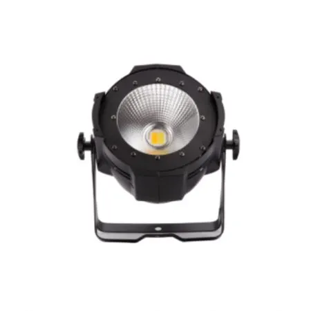 TL-SL343 Par Light